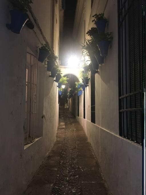 Apartamento El Templo Córdoba Exteriér fotografie