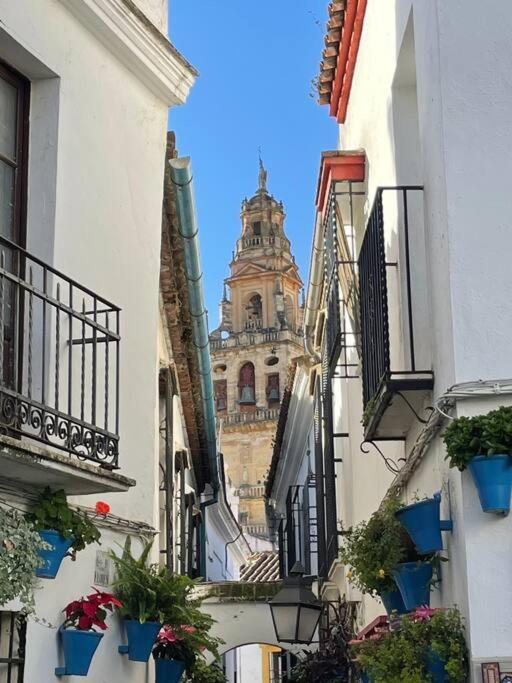 Apartamento El Templo Córdoba Exteriér fotografie